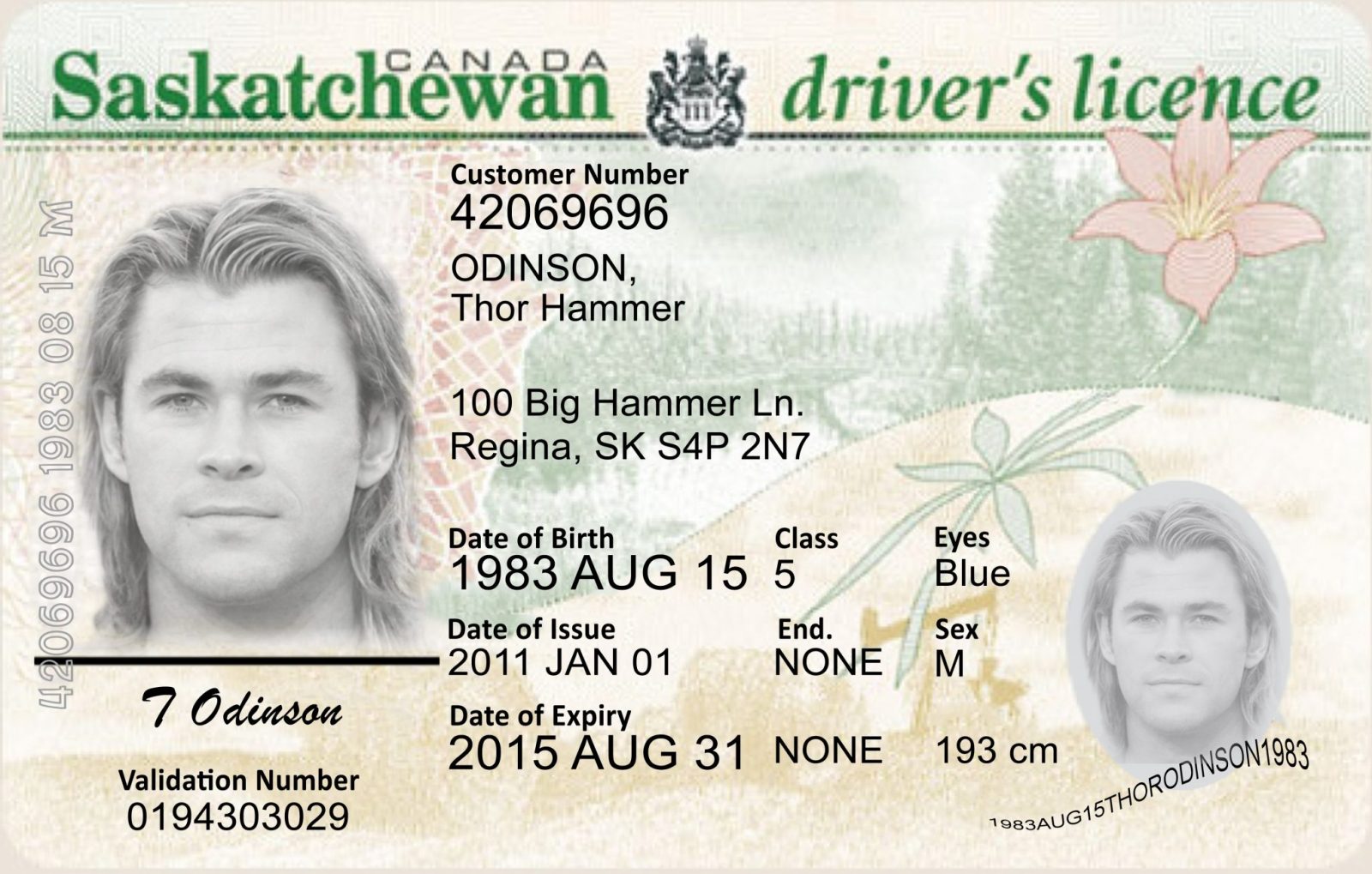 ontario drivers license codes